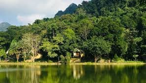 Pedal Through Paradise: Epic Cycling Tours in Vietnam's National Parks